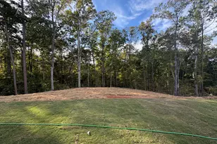 3360 Trevi Trail, Douglasville, GA 30135 - Photo 5