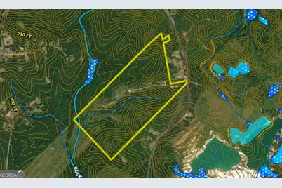 1100 Sapp Road, Dry Branch, GA 31020 - Photo 53