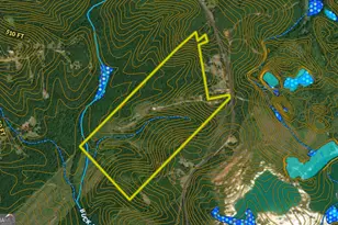 1100 Sapp Rd, Dry Branch, GA 31020 - Photo 53