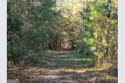 1100 Sapp Road, Dry Branch, GA 31020 - Photo 43