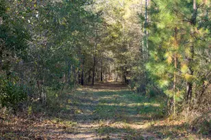 1100 Sapp Rd, Dry Branch, GA 31020 - Photo 43