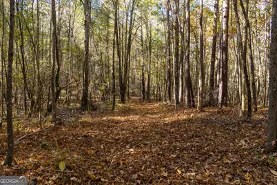 1100 Sapp Road, Dry Branch, GA 31020 - Photo 47