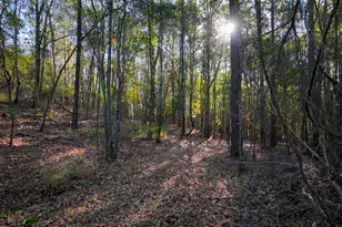 1100 Sapp Rd, Dry Branch, GA 31020 - Photo 37