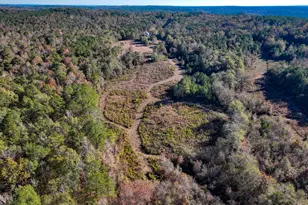 1100 Sapp Rd, Dry Branch, GA 31020 - Photo 35