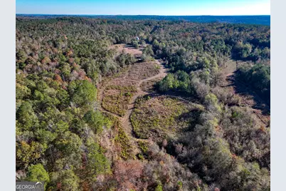 1100 Sapp Road, Dry Branch, GA 31020 - Photo 35