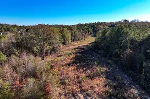 1100 Sapp Rd, Dry Branch, GA 31020 - Photo 45