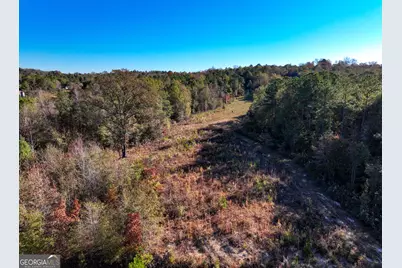 1100 Sapp Road, Dry Branch, GA 31020 - Photo 45