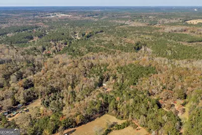 1663 Smith Road, Forsyth, GA 31029 - Photo 37