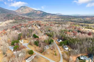 81 Heather Way, Cleveland, GA 30528 - Photo 47