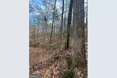 0 Amaryllis Lane, Tiger, GA 30576 - Photo 7