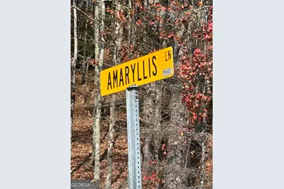 0 Amaryllis Lane, Tiger, GA 30576 - Photo 9