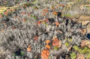 22 Running Bear Ridge Rd, Blue Ridge, GA 30513 - Photo 59