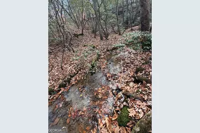 Lot A Magnums Trail #A, Blue Ridge, GA 30513 - Photo 31