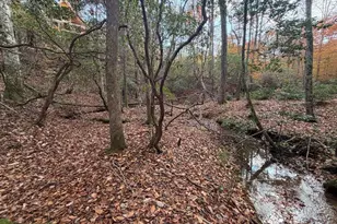 Lot A Magnums Trail, Blue Ridge, GA 30513 - Photo 15