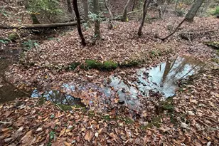 Lot A Magnums Trail, Blue Ridge, GA 30513 - Photo 29