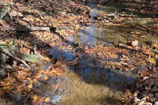 Lot A Magnums Trail, Blue Ridge, GA 30513 - Photo 37