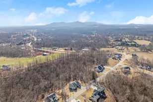 178 Samson Wy, Cleveland, GA 30528 - Photo 49