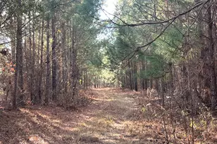 0 Thomas Rd, Millen, GA 30442 - Photo 1