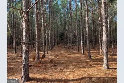 0 Thomas Road, Millen, GA 30442 - Photo 3