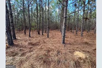 0 Thomas Road, Millen, GA 30442 - Photo 3