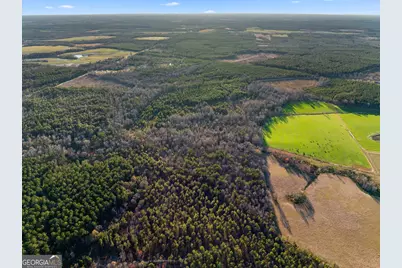 0 Thomas Road, Millen, GA 30442 - Photo 7