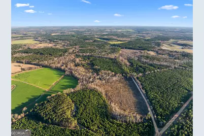 0 Thomas Road, Millen, GA 30442 - Photo 3