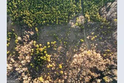 0 Thomas Road, Millen, GA 30442 - Photo 5