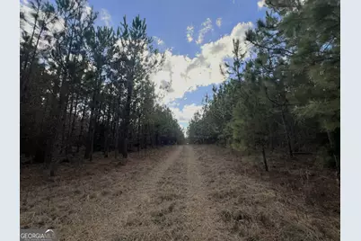 0 Thomas Road, Millen, GA 30442 - Photo 5