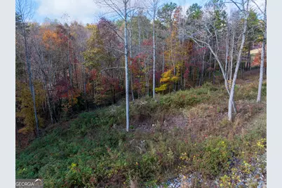 0 Ridge Road, Morganton, GA 30560 - Photo 31