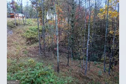 0 Ridge Road, Morganton, GA 30560 - Photo 45