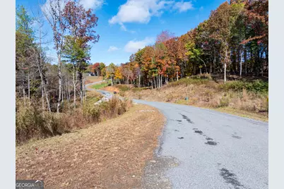 0 Ridge Road, Morganton, GA 30560 - Photo 37