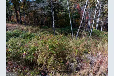 0 Ridge Road, Morganton, GA 30560 - Photo 39