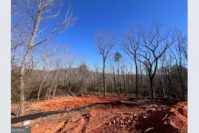 194 Pinecrest Road, Clarkesville, GA 30523 - Photo 5