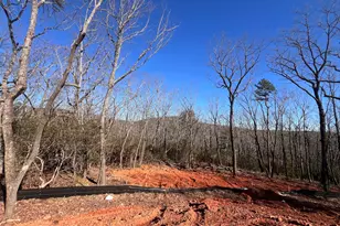 194 Pinecrest Rd, Clarkesville, GA 30523 - Photo 3