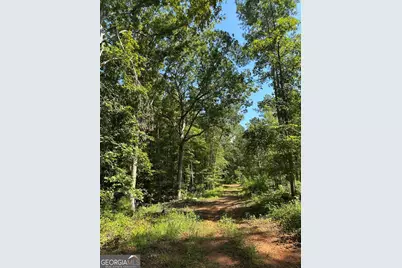 0 Fears Road, Madison, GA 30650 - Photo 1