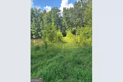 0 Fears Road, Madison, GA 30650 - Photo 11