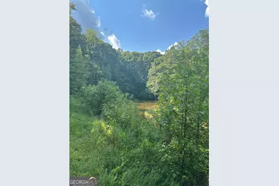 0 Fears Road, Madison, GA 30650 - Photo 13