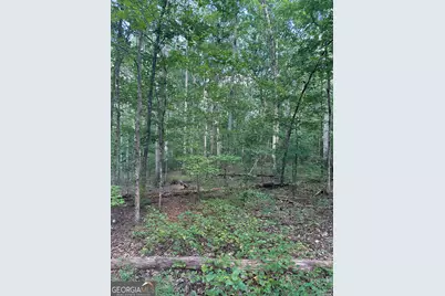 0 Fears Road, Madison, GA 30650 - Photo 9