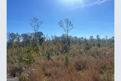 0 Jd Williams Road, Cadwell, GA 31009 - Photo 9