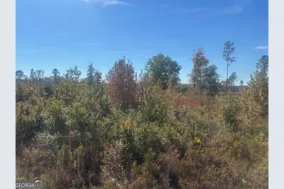 0 Jd Williams Road, Cadwell, GA 31009 - Photo 5