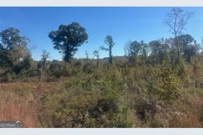 0 Jd Williams Road, Cadwell, GA 31009 - Photo 7