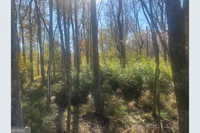 0 Jd Williams Road, Cadwell, GA 31009 - Photo 3