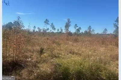 0 Jd Williams Road, Cadwell, GA 31009 - Photo 11