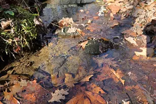 1994 Camp Creek Rd, Lakemont, GA 30552 - Photo 7