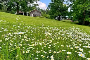 1994 Camp Creek Rd, Lakemont, GA 30552 - Photo 5