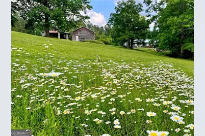 1994 Camp Creek Road, Lakemont, GA 30552 - Photo 7