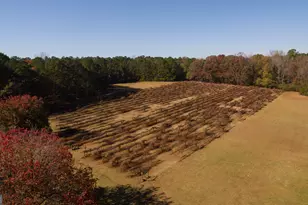 4621 Hwy 34 W, Newnan, GA 30263 - Photo 5