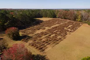 4621 Hwy 34 W, Newnan, GA 30263 - Photo 33