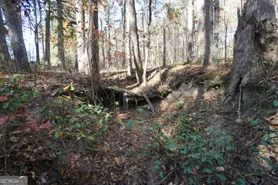 4621 Highway 34 W, Newnan, GA 30263 - Photo 47