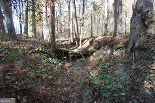 4621 Hwy 34 W, Newnan, GA 30263 - Photo 47